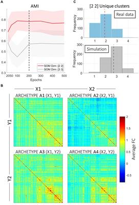 The degenerate coding of psychometric profiles through functional connectivity archetypes